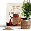 Buckwheat Seeds - 1 Lb ~15,000 Seeds - Organic, Non-GMO, Whole (Shell On) - Grow Buck Wheat Cover Crop, Lettuce
