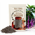 Eggplant Long Purple Eggplant Seeds rare NJ Grower USA Heirloom Organic check my store for more for largest selection Free Shipping