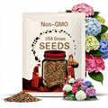 30 Hydrangea Seeds: Garden & Container Planting