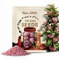 10 Seeds | Thai Purple Sugar Apple Seeds, Exotic Tropical Fruit Plant, Sweet Custard-Like Flesh, Rare Garden Container Tree