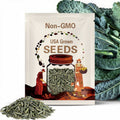 Lacinato Kale Seeds