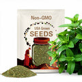 20,500 Spearmint Seeds | Container Herb Gardening Seed for Growing Mint Plants, Heirloom, Non-GMO, Mentha spicata