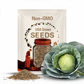 All Season Cabbage Seeds