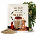 Heirloom Chinese Mustard Seeds - Gai Choi Cải Bẹ Dưa