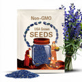 Blue Wild Indigo Flower Seeds - Grow Beautiful Flowers Indoors, Outdoors, In Pots, Grow Beds, Soil, Hydroponics & Aquaponics