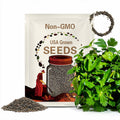 1000+ Culantro Recao Seeds Heirloom Herb Non-GMO