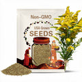 CANADIAN GOLDENROD Seeds *Free Shipping!* Fresh & Organic Solidago canadensis Seeds | Hardy Yellow Outdoor Flower Seeds for Planting