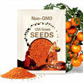 Orange Hat Tomato Seeds: Micro Dwarf Variety (15 Seeds)