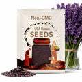 50 Purple Kisses Queen Anne's Lace Flower Seeds