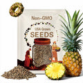 Valera Pineapple Seeds: Grow Sweet Tropical Fruit - 15 Seeds