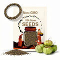 10 Organic Green Tomatillo seeds - Unique ! Fresh ! Grown/Harvested in USA !! Salsa ! Tasty !