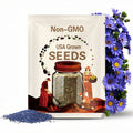 200 Blue Marguerite Daisy Seeds: Cottage Garden Perennial, Non-GMO
