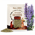 Lamp Flower, Rose Campion= 300 seeds