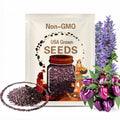 Venezuela Purple X Candy Cane Chocolate Cherry Pepper Seeds