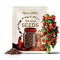 25 Giant Strawberry Seeds