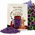 20 Purple Coneflower “Green Twister” Seeds – Spring & Summer Flowers, GMO-Free, Gardening Gift