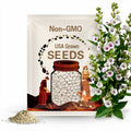 Marshmallow Seeds – Heirloom Culinary & Medicinal Herb, Perennial, Pollinator-Friendly (Althaea officinalis) | 50 Seeds