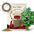 Organic Italian Parsley Seeds Non-GMO Heirloom Herb and Spice