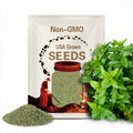 Spearmint Herb Seeds, Heirloom, NON GMO, Country Creek Acres