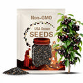 Cherry, Black | 15 Seeds | Heirloom | Non-GMO | Prunus serotina