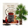 Dwarf Palmetto - Sabal minor 8 seeds Florida Native plus free seeds with your order