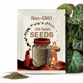 SEEDS - Begonia Hijauvenia