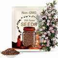 Potomac Plumblossom F1 Snapdragon Seeds, Open Pollinated, Non-GMO, Antirrhinum majus