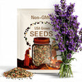 50 Prairie Verbena Seeds | Native Wildflower Garden Pollinator Plants