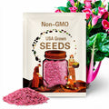 Pink Lipstick Swiss Chard Seeds 50 Ct Vegetable Garden Heirloom USA NON-GMO