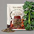 Dunja Zucchini Seeds: 25+ Non GMO Heirloom Squash