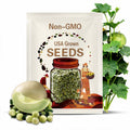 150 HONEYDEW GREEN FLESH Cucumis Melo Inodorus Melon Fruit Seeds