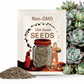 Echeveria Icy Malgan Mix Seeds: Rare Pink Succulent (10 Seeds)