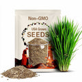 1 oz ORGANIC WHEAT GRASS Seeds Sprouting Juicing B,C,K,Folic Acid,Fiber Fast Easy