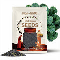 Vates Blue Curled Kale Heirloom Seeds